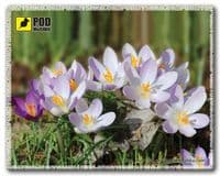 Килимок для мишки Pod Mishkou Весна-Крокусы