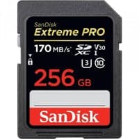 Карта памяти SanDisk 256GB SDXC C10 UHS-I U3 R170MB/s Extreme Pro