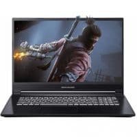 Ноутбук Dream Machines G1650-17 (G1650-17UA25)