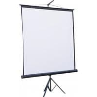 Проекційний екран ATRIA TRM-NTSC-84D