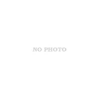 Ноутбук Dell Inspiron 5491 2-в-1 (5491FTi78S3MX230-WPS)