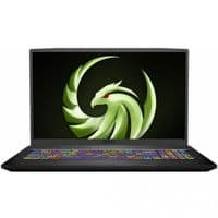 Ноутбук MSI Bravo A4DDK-070X