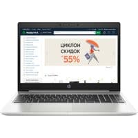 Ноутбук HP ProBook 455 G7 (7JN01AV V3)