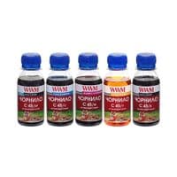 Чернила WWM CANON PGI450/CLI451 (5х100г) BP/B/C/M/Y (C45SET-5)