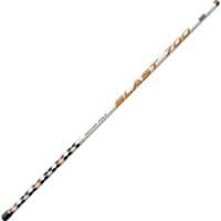 Вудлище Brain fishing Blast Pole 5m (1858.40.01)
