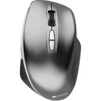 Мишка CANYON MW-21 Wireless Blue LED Dark grey (CNS-CMSW21DG)