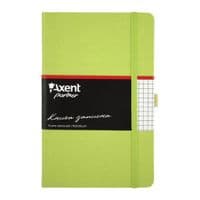 Канцелярская книга Axent Partner, 125*195, 96sheets, square, light green (8201-04-А)