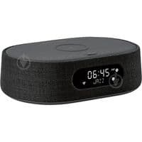 Акустична система Harman/Kardon Citation Oasis Black (HKCITAOASISBLKEU)