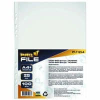 Файл ProFile А4+, 25 мкм, з тисненням, 100 шт (FILE-PF1125A-A4-25MK)