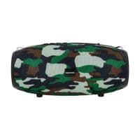Портативная колонка BOROFONE BR12 Amplio sports wireless speaker Camouflage Green