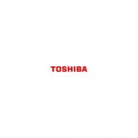 Toshiba T-FC210EM MAGENTA (6AJ00000270)