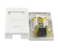 Розетка RJ45 (мережева), 1-портова UTP, біла, 6E категорія, Ritar (StR-8P8CRJ45/C6-1)