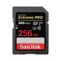 Карта памяти SanDisk SD 256GB C10 UHS-II U3 V90 R300/W260MB/s Extreme Pro