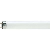 Лампочка PHILIPS TL-D G13 1200mm 36W/33-640 1SL/25 (928048503351)