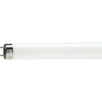 Лампа PHILIPS TL-D G13 600mm 18W / 33-640 1SL / 25 (928048003351)