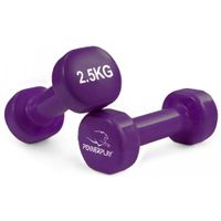 Гантель PowerPlay 4125 Achilles 2.5 кг Фіолетова (PP_4125_2.5kg)