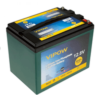 Аккумуляторная батарея Vipow LiFePO4 12,8V 50Ah со встроенной ВМS платой 40A, (255*220*170) Q1