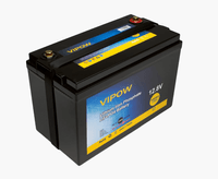 Аккумуляторная батарея Vipow LiFePO4 12,8V 100Ah со встроенной ВМS платой 80A