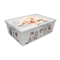 Коробка QUTU LIGHT BOX с/к CATS AND DOGS 25л. (СВЕТОВОЙ ЯЩИК с/к CATS AND DOGS 25л.)