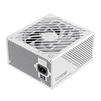 Блок питания ATX 1250W, 80+ Platinum ,fan 135mm,full modularOTP, OCP, SCP, OVP, UVP, OPP GX-1250 PRO WT (ATX3.0 PCIe5.0