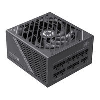 Блок живлення ATX 1050W, 80+ Platinum ,fan 135mm,f ully modularOTP, OCP, SCP, OVP, UVP, OPP GX-1050 PRO BK (ATX3.0 PCIe5.0