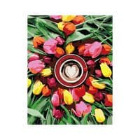 Картина по номерам Rosa Start Утренние тюльпаны 35х45 см (4823098526131)