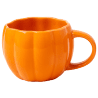 Чашка Limited Edition PUMPKIN /350 мл (PX001-K606)