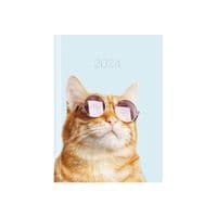 Еженедельник Economix датированный 2024 COLOR, А5 (E21843)