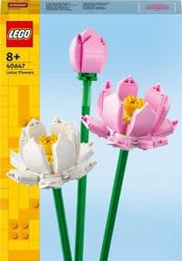 Конструктор LEGO Iconic Цветы лотоса