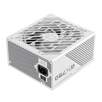 Блок питания ATX 750W, 80 Gold, fan 120mm, fully modularOPP, OVP, UVP, OCP, OTP, SCP GX-750 PRO WH (ATX3.0 PCIe5.0)
