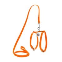 Шлей для собак WAUDOG Glamour с поводком кожаный Ш 9 мм А 20-30 см В 30-40 см оранжевый (33994)