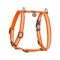 Шлей для собак WAUDOG Waterproof анатомическая Н-образная, светоотражающая S оранжевая (32804)