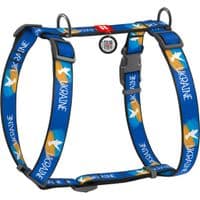 Шлей для собак WAUDOG Nylon с QR паспортом анатомическая H-образная "Знамя" M (5150-0229)