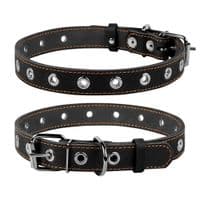 Ошейник для животных Collar безразмерный 25 мм 60 см (черный) (02441)