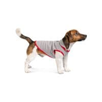 Жилет для животных Pet Fashion FLEECY" ХS2 серо-красный (4823082419616)