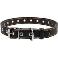 Ошейник для животных  Collar безразмерный 20 мм 50 см (черный) (01511)