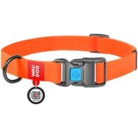 Ошейник для животных WAUDOG Waterproof с QR паспортом Ш 25 мм Д 38-58 см оранжевый (27774)