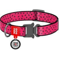 Ошейник для животных WAUDOG Nylon "Арбуз" металлическая пряжка-фастекс XL (5150)