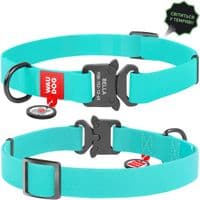 Ошейник для животных WAUDOG Waterproof из QR металлическая пряжка-фастекс Ш 25 мм Д 38-58 см ментоловый (2783)