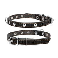 Ошейник для животных Collar одинарный с украшениями Ш 12 мм Д 24-32 см черный (00231)