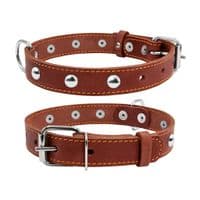 Ошейник для животных Collar одинарный с украшениями Ш 20 мм Д 32-40 см коричневый (01356)