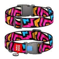 Ошейник для животных WAUDOG Nylon с QR паспортом "Граффити" пластиковый фастекс Ш 25 мм Д 33-40 см (4734)