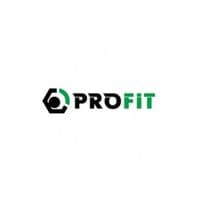 Воздушный фильтр для автомобиля Profit 1512-4292