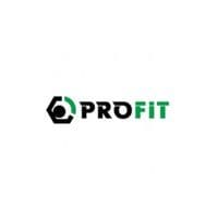 Воздушный фильтр для автомобиля Profit 1512-4296
