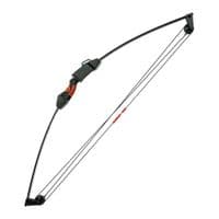 Лук Poe Lang Chameleon Youth Compound 10 LBS Black (CO-017B)