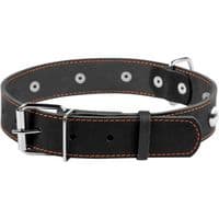 Ошейник для животных Collar одинарный с украшениями Ш 35 мм Д 48-63 см черный (02711)