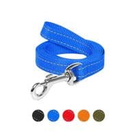 Поводок для собак Dog Extreme из нейлона Ш 20 мм Д 200 см голубой (04632)