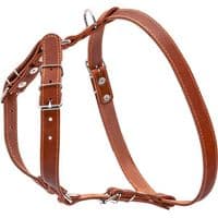 Шлея для собак Collar одинарна для малих та середніх порід Ш 20 мм А:40-56 см В:57-65 см коричнева (06366)