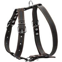 Шлея для собак Collar одинарна для середніх порід Ш 25 мм А:49-68 см В:68-80 см чорна (06381)