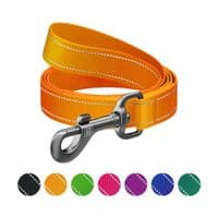 Повідок для собак WAUDOG Nylon Mono, світловідбивний M помаранчевий (52184)
